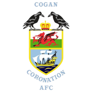 Mixed Under 8s Cogan Coronation AFC Membership Fees